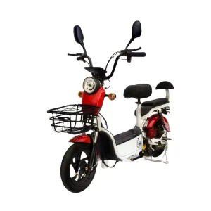 Adult Electric Scooter Electric Motorcycle with 2 Seats
