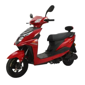 Adult Electric Scooter Fast Electric Scooter Mobility 2 Wheels Electric 1000W Motor Scooter