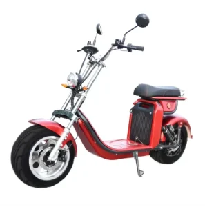 Adult Electric Scooter Motorcycle with 60V Lithium Battery Road Ready Electric Scooter