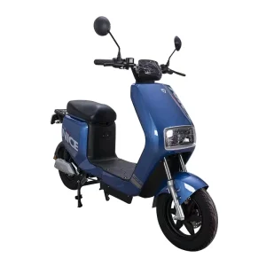 Adult Electric Scooter for Export to Southeast Asia Africa Russia and Other Countries
