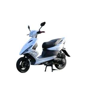 Adult Fuel Scooter Motorcycle100cc Scooter Gas Scooter