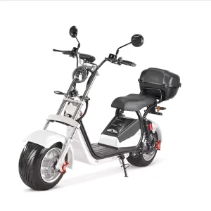 Adult High Speed Electric Motorcycle 3000W Citycoco Scooter