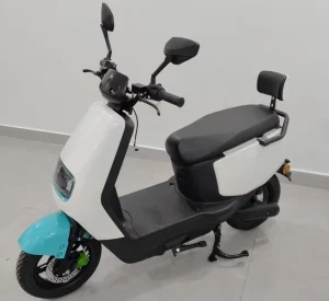 Adult Intelligent Power Electric Bicycle Scooter 2 Seats Two Wheel with EEC Certificate Electric Motorcycle