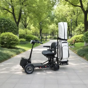 Arrived Quickly and Easy to Assemble Self balancing Electric Scooters