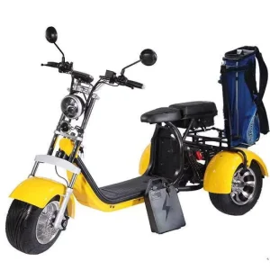 Australia Market Intelligent GPS Golf Cart Tricycle 3 Wheel Electric Scooter with 2000W Motor Waterproof & Foldable