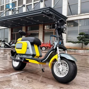 Big Seat Electric Moped Scooter Street Legal with Durable Range Electric Motorcycle Citycoco