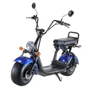 Big Wheels Electric Scooter 1500W EEC Fashion City Electric Scooter Fat Tire Citycoco Seev Woqu Scrooser