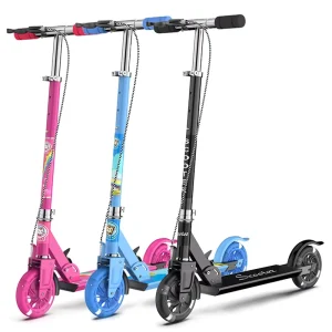 Brake Kick Scooter and Foot Scooter Light Up 2 Big Wheels Portable Folding Lightweight Children Kick Scooter for Kids