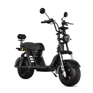 Brazil 10inch Fat Tire Electric Scooter Citycoco 2000w Two Wheels 60v 20Ah Lithium Battery 55km/h Max Speed