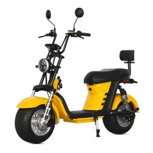 Brazil Electric Scooter Citycoco 2000w Two Wheels 60v 20Ah Lithium Battery 10inch Fat Tire 55km/h Max Speed