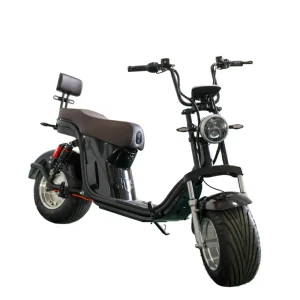 Brazil Market 12inch Aluminum Alloy Fat Tire Waterproof Lithium Battery Electric Scooter Citycoco Short Wheelbase