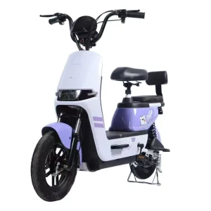 CE Certified Compact Electric Moped Scooter 2 Person Riding Lead Acid Powered Lightweight Brushless Motor 3 Speed E Bike City