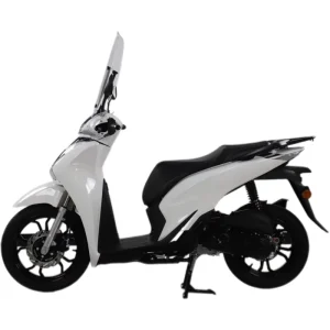 CE & E mark Certified 50cc Gas Scooter with Water Cooled Engine 150kg Load Capacity for Urban Commuting