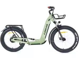 CE Electric Scooter All Terrain Scooter for Adults with Removable Battery Dual Motor