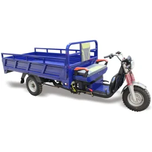 COC EEC Cargo Electric Motorized 3 Wheel Electric Scooter Tricycle 1500W for Adults