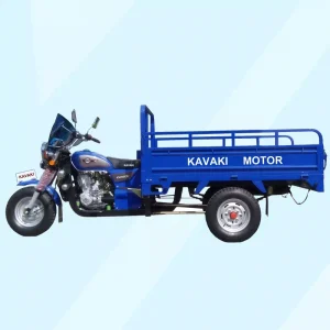 Cargo Trike Motorcycle Gas Scooter Three Wheel Tricycle Food Cart