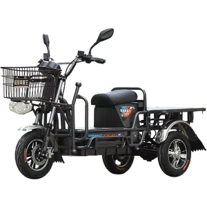 Cargo king Electric Scooter 72V 96V 31Ah 40Ah Water Delivery Cargo Haul Long-distance Electric Motorcycles