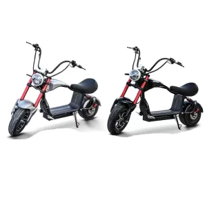 China Factory High Quality 1000 Watts Wide Wheel Electric Scooter 10 Inch