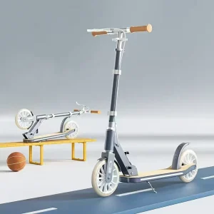 China Factory’s New Adults Folding Kick Scooter with Handbrake Foot Scooter