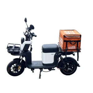 China Scooter Electric Scooter Electric Scooters 48V Electric Bike for Adult