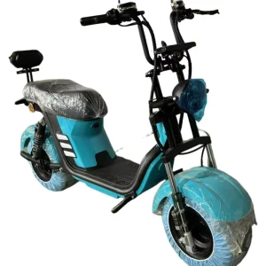China’s Best Two Wheel Electric Scooter Disc Brake Electronic Lightweight High Power 1000W Motor Wide Tire Electric City Bicycle