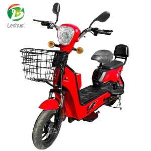 Chinese Carbon Steel Electric Bike Scooter for Adults 500W Motor Power with Lithium Battery Two-Seater