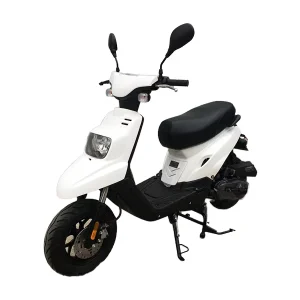 Chinese Factory Supply 50cc 2 Stroke Gas Scooter