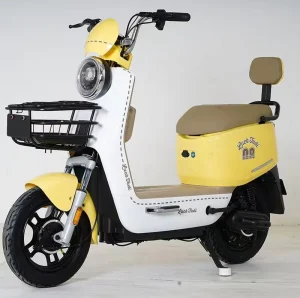 City Electric Bike 500W 48V Rear Hub Motor 14 Inch Electric Scooter with Basket