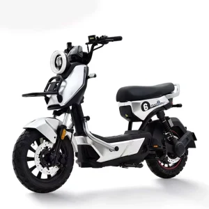 City Electric Scooters Electric Skateboards and E-Bikes Equipped with 500W 60V Power High-Speed Long Range