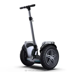 City Road Electric Balance Two Wheel Scooter Self Balanced Waterproof Foldable 150KG Load Capacity From Direct Factory