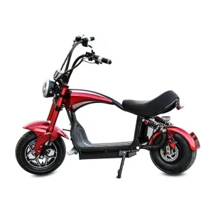 CityCoco 1000 Watts Wide Wheel Electric Scooter
