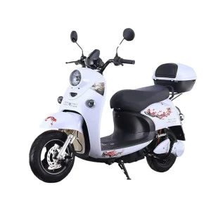 Citycoco 1000W Electric Scooter for Urban Commute 45km h Speed with 48V 60V 72V Options