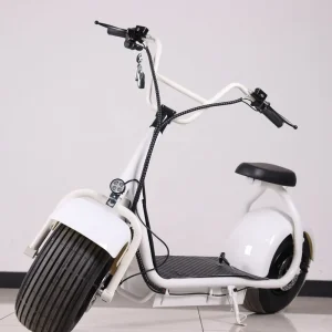 Citycoco 2000w Electric Scooter with Fat Tire Strong Power Mobility Scooters