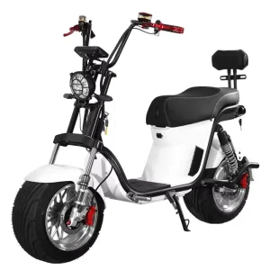 Citycoco Electric Scooter 1500W Motorcycle Aluminum Alloy Removable Battery 60AH Capacity 45km/h Max Speed