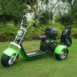 Citycoco Electric Scooter 3 Wheel 3000w Electric Fat Tire Citycoco