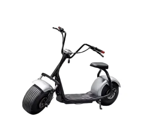 Citycoco Electric Scooter One Seat Scooter 1000w