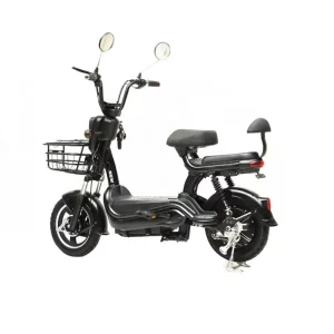 Convenient Foldable Mini Electric Scooter Aluminum Alloy Frame 3 Speed Detachable Battery Double Seat E Bike for Elderly Leisure