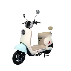 Cross-border Foreign Trade Two-wheeled Battery Electric Scooter 500W Motor 20Ah 48V Lead-acid Battery 25-35km Range