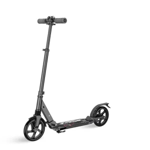 Custom 2 Wheels Scooter Adult Kick Scooter