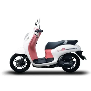 Custom 50cc 125cc 150cc 110cc Gasoline Other Motorcycles Gas Scooters
