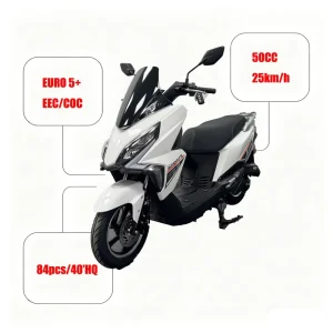 Custom made Bulk EEC COC 25km/h Gasoline Scooter 49cc 50cc Gas Motorcycle FactoryPrice Low MOQ Quality Moped