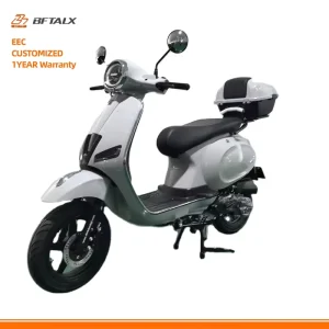 Customized 125CC Gas Scooter Top Speed 80KM H 114KG Motor CBS Disc Brakes ECU BOSCH Fashionable Motorcycles