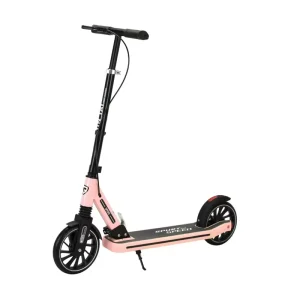 Double Brake 2 Wheel Kick Scooter Foot Scooter