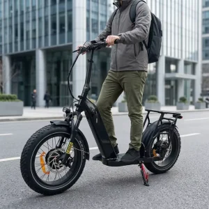 Dual 1000 Motors Electric Scooter Waterproof 48V20AH Hidden Battery Bicicleta