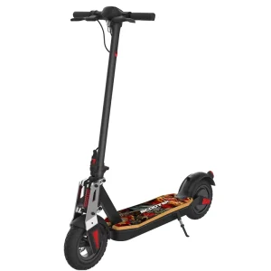 EC Electric Scooter Outdoor Sport Oem Personal Transporter Electric Scooter for Adult
