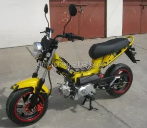 EEC 49cc Adult Gas Scooter