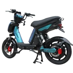 EEC Approved Moped 500w Powerful 2 Wheel Pedal Assisted Electric Scooter for Adults With 48V20AH Lithium Removable