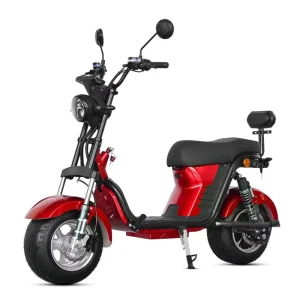 EEC Compliant 60V 1001-2000W Electric Scooter Two Wheel Wide Tire E Bike for Adults Kids 18