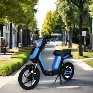EEC E Scooter 800w Electric Scooter With Pedal Assisted 18 Inch Factory Price Electric Moped