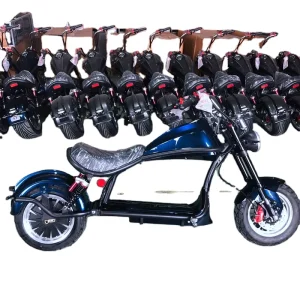 EEC sized style Brushless Electric Scooter Delivery E Scooter with 3000W Motor